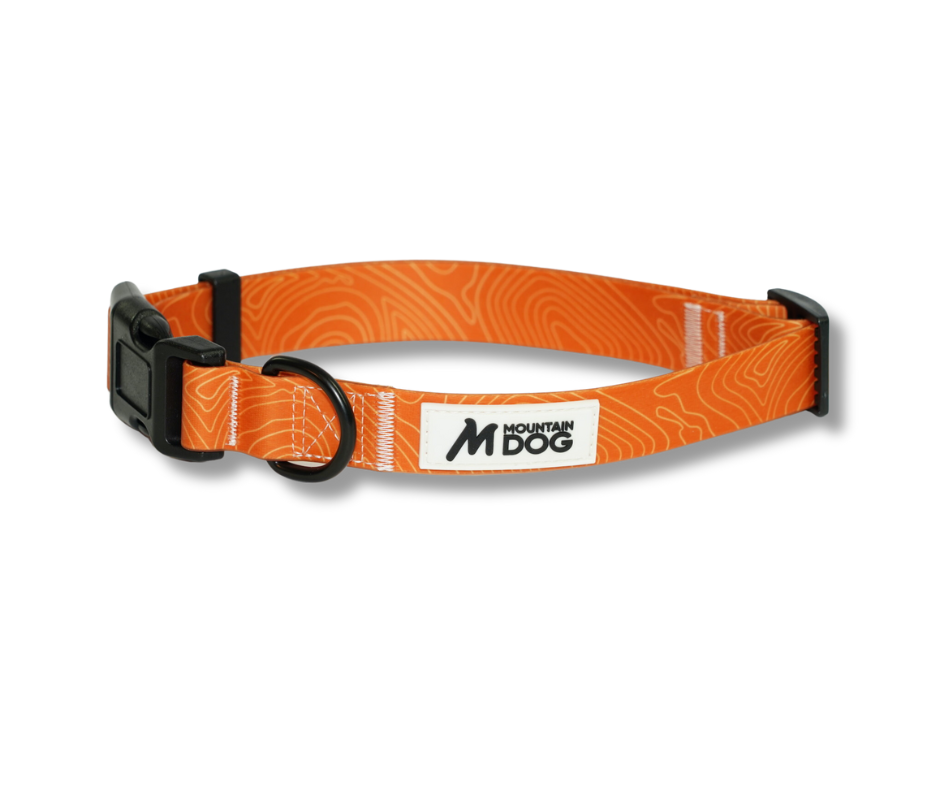 MDOG - Lakeland Waterproof Collar *CRAZY PRICE CRASH TO CLEAR*