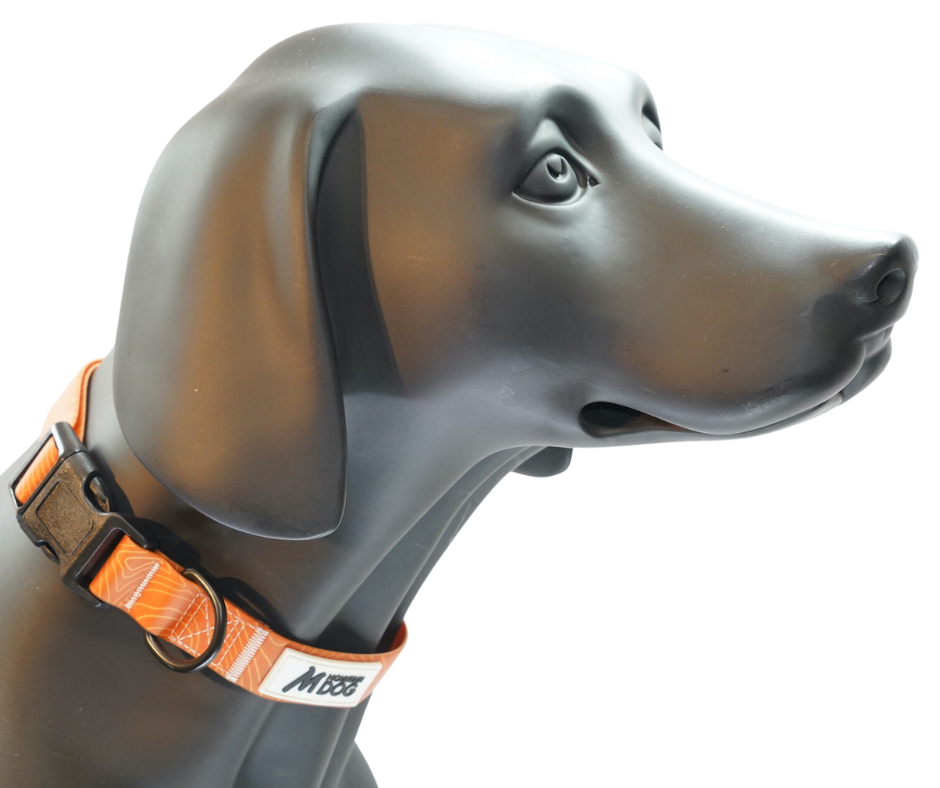 MDOG - Lakeland Waterproof Collar *CRAZY PRICE CRASH TO CLEAR*