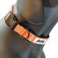 MDOG - Lakeland Waterproof Collar - Winter Sale