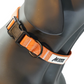 MDOG - Lakeland Waterproof Collar *CRAZY PRICE CRASH TO CLEAR*