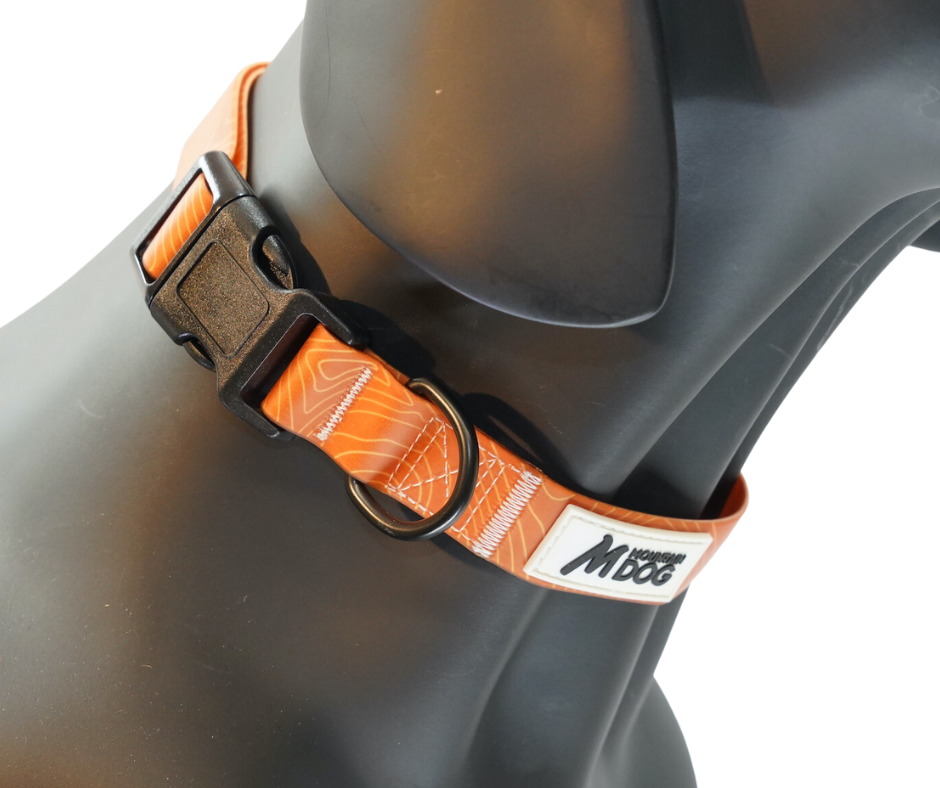 MDOG - Lakeland Waterproof Collar *CRAZY PRICE CRASH TO CLEAR*