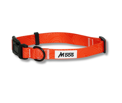 MDOG - Lakeland Waterproof Collar *CRAZY PRICE CRASH TO CLEAR*