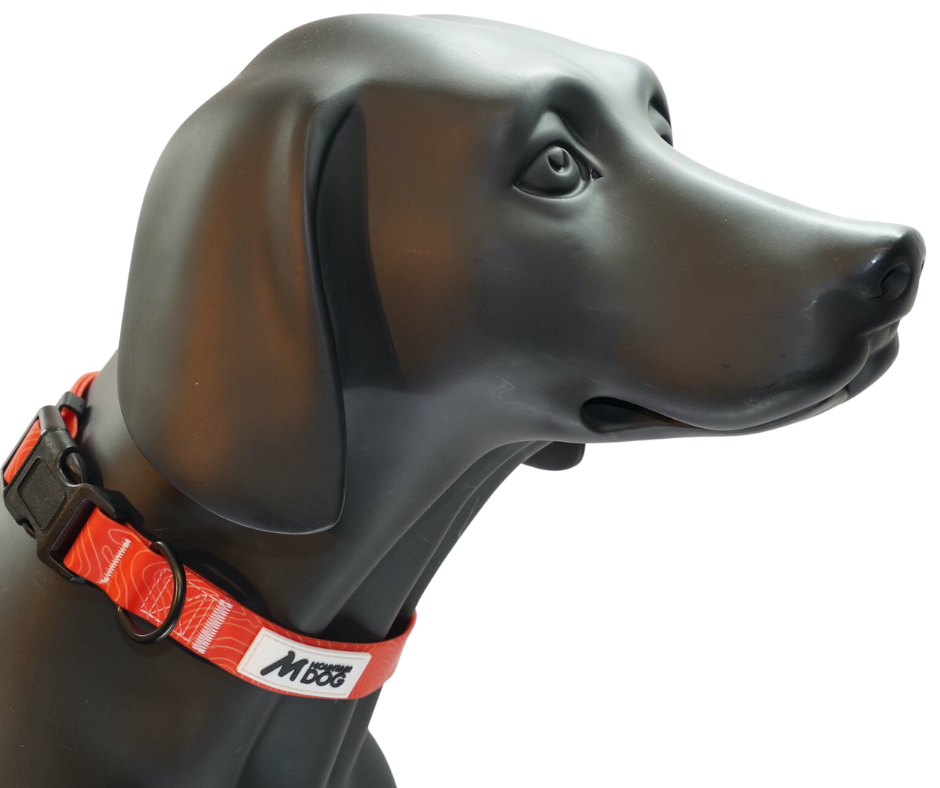 MDOG - Lakeland Waterproof Collar *CRAZY PRICE CRASH TO CLEAR*