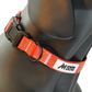 MDOG - Lakeland Waterproof Collar - Winter Sale