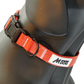 MDOG - Lakeland Waterproof Collar *CRAZY PRICE CRASH TO CLEAR*