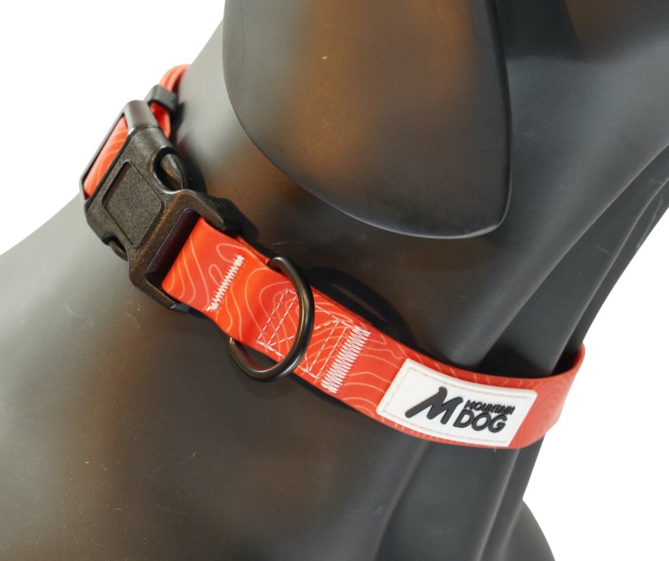 MDOG - Lakeland Waterproof Collar *CRAZY PRICE CRASH TO CLEAR*