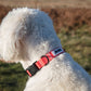 MDOG - Lakeland Waterproof Lead - Winter Sale