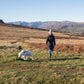 MDOG - Lakeland Waterproof Lead - Winter Sale