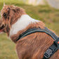 Non-stop - Line Harness with Grip