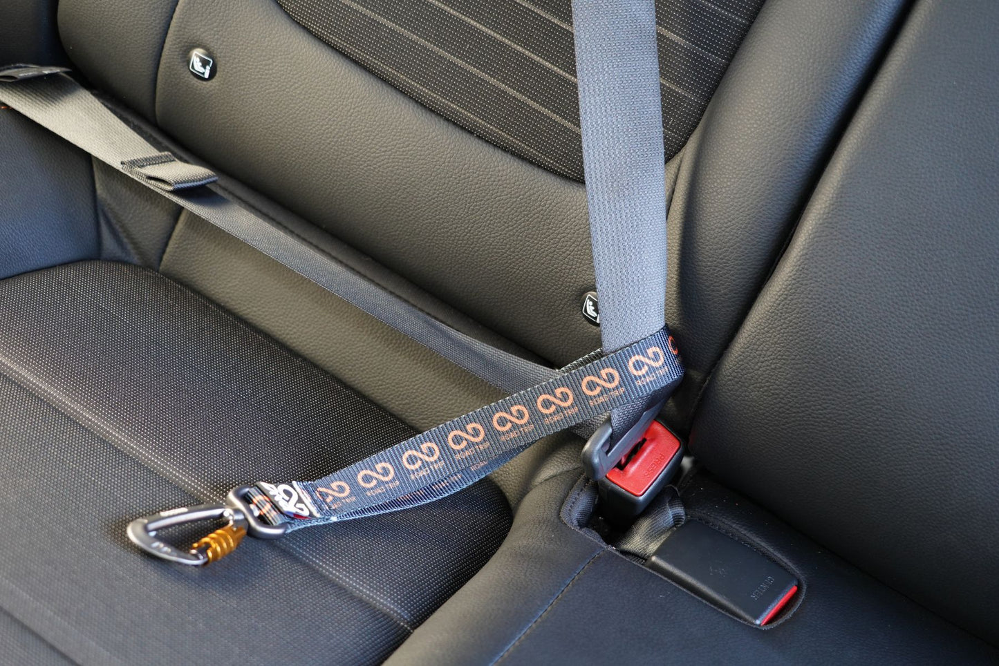 DNA - Road Trip - Seatbelt Loop Tether with Secure Carabiner