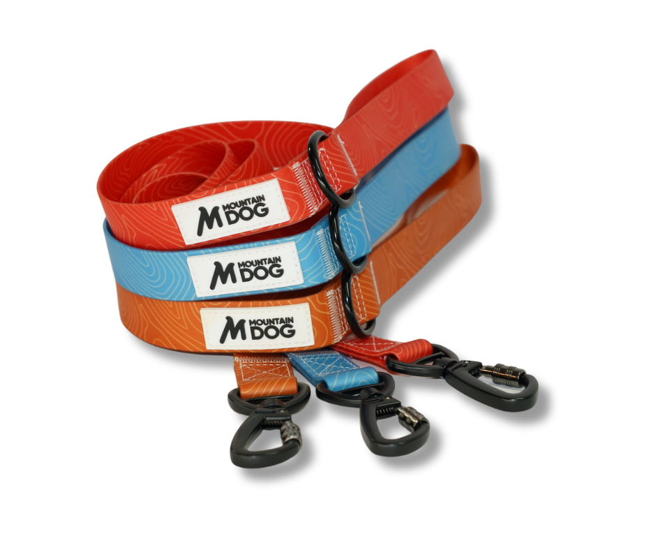 MDOG - Lakeland Waterproof Lead *AMAZING PRICE TO CLEAR*