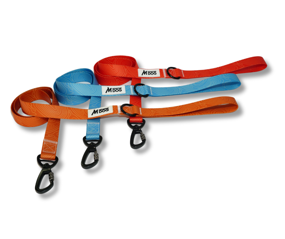 MDOG - Lakeland Waterproof Lead *AMAZING PRICE TO CLEAR*