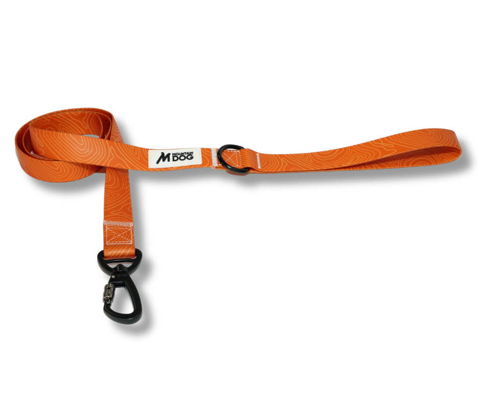 MDOG - Lakeland Waterproof Lead *AMAZING PRICE TO CLEAR*