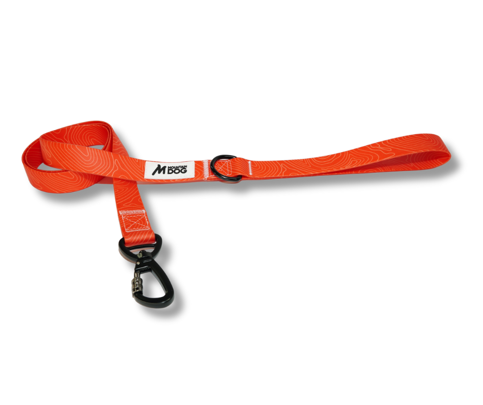 MDOG - Lakeland Waterproof Lead *AMAZING PRICE TO CLEAR*