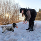 Non-stop - Obedience Vest Womens *Spring Sale*