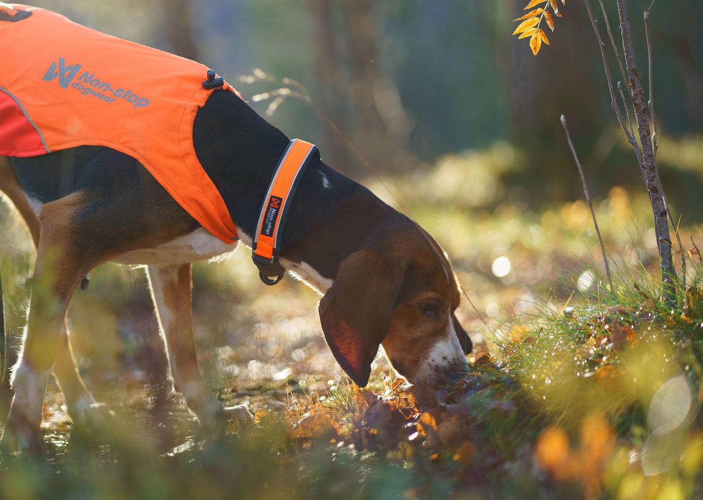 Non-stop - Protector Collar