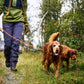 Non-stop - Retriever Leash