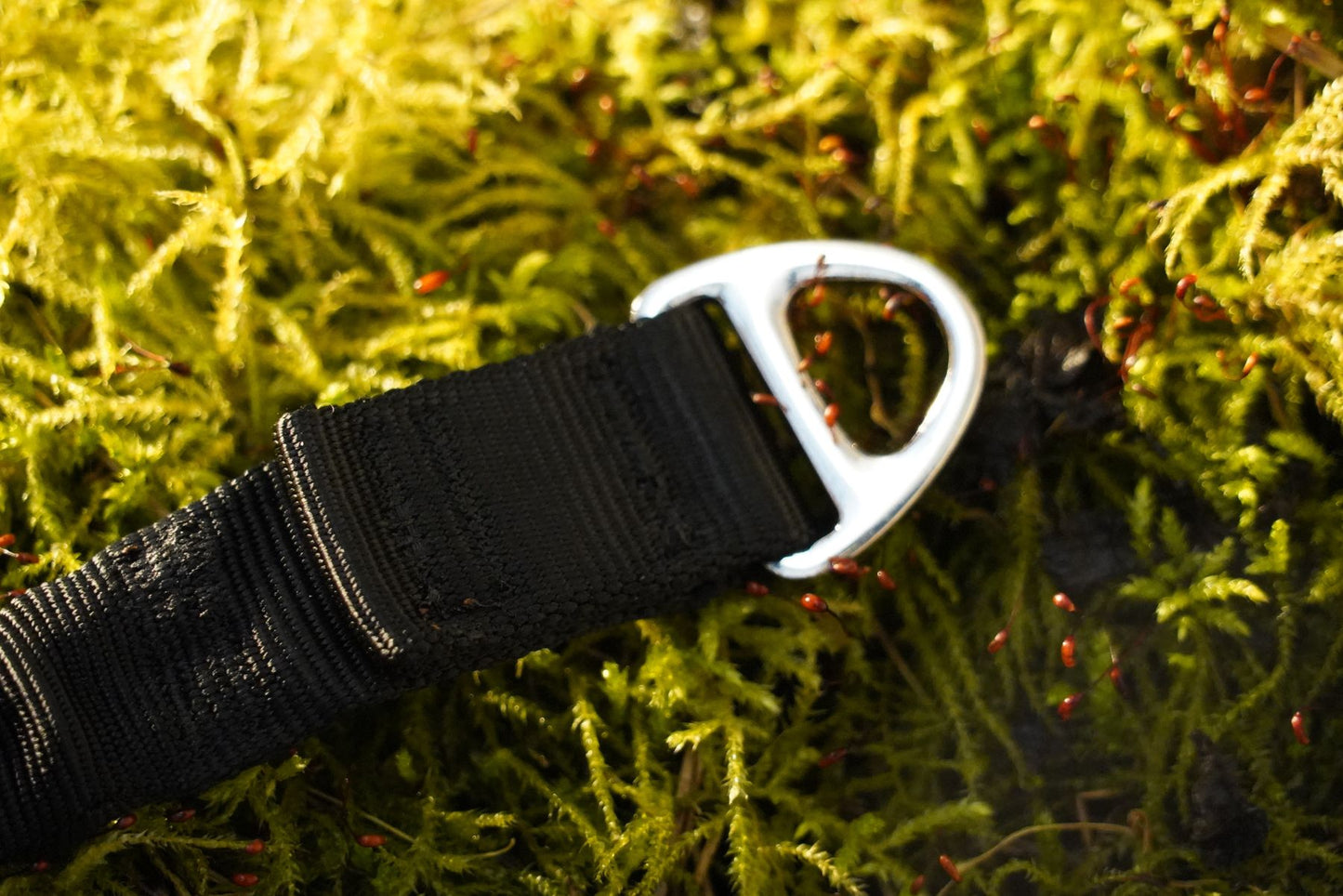 DNA - Shock Lead Extender
