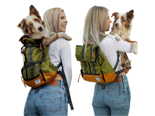 K9 Sport Sack Dog Backpack | Mountain Dog UK