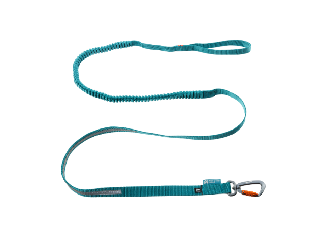 Non-stop - Touring Bungee Leash