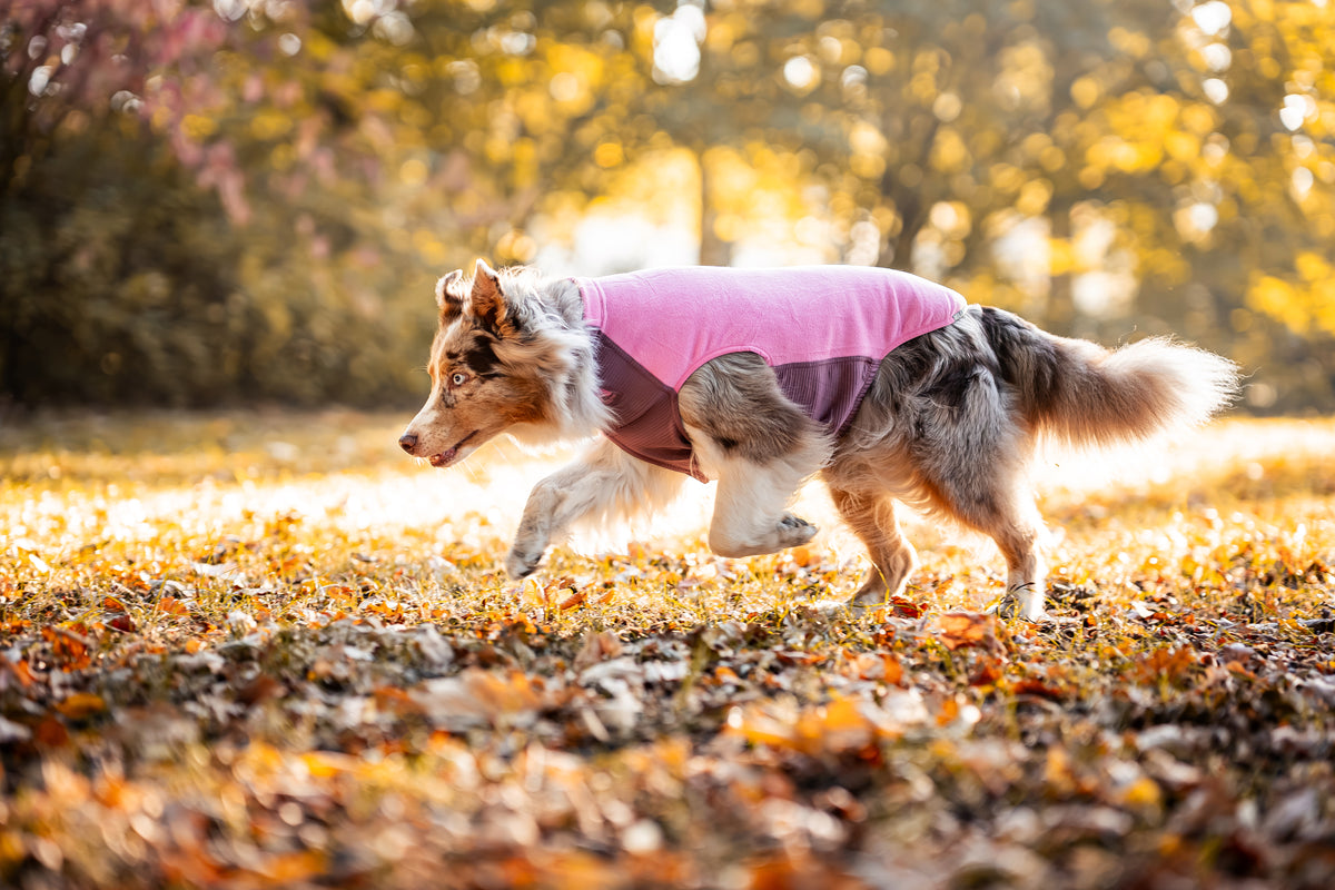 Non-stop - Trail Quest Fleece Pullover