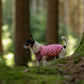 Non-stop - Trail Quest Fleece Pullover