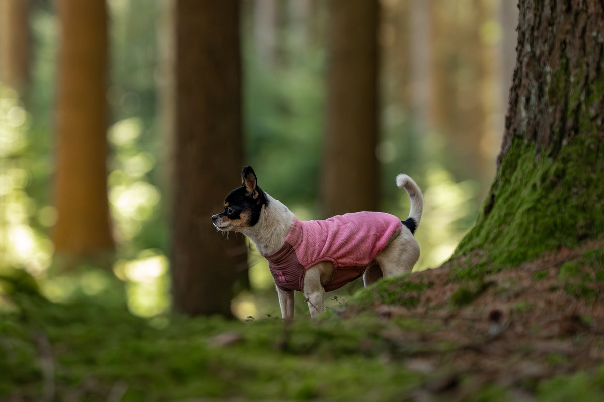Non-stop - Trail Quest Fleece Pullover