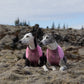 Non-stop - Trail Quest Fleece Pullover