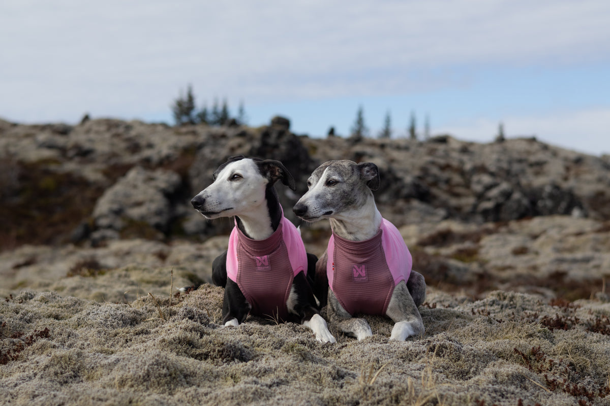 Non-stop - Trail Quest Fleece Pullover