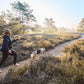 Non-stop dogwear - Trail Light Belt