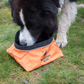 MDOG - Collapsible Large Travel Bowl *WINTER SALE*