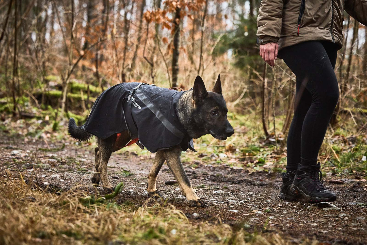 Non-stop - Trekking Dog Raincoat