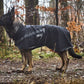 Non-stop - Trekking Dog Raincoat