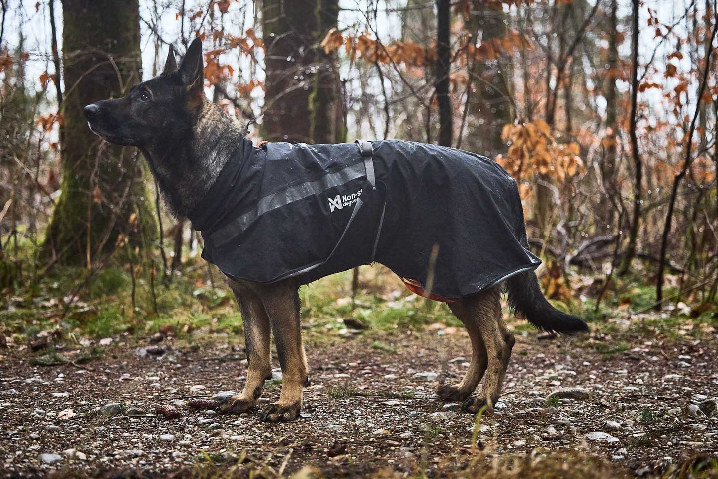 Non-stop - Trekking Dog Raincoat