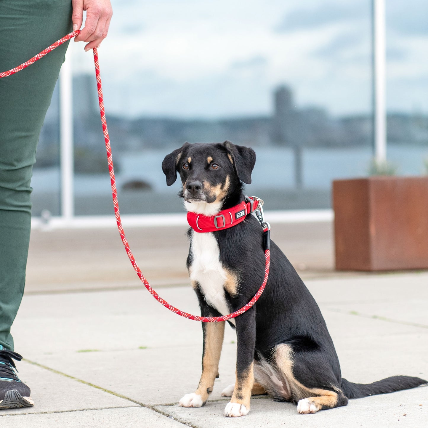 DOG Copenhagen - Urban Explorer Collar *NEW DESIGN*