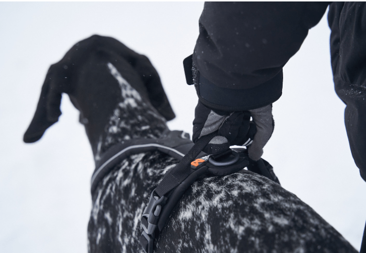 Non-stop Dogwear - Line Harness with Grip
