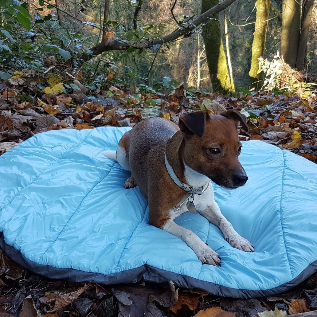 Henry Wag - Alpine Travel Snuggle Bed