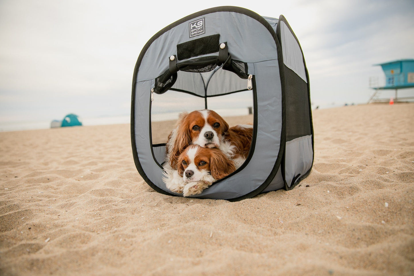 Sport Sack - K9 Kennel Pop-Up Dog Tent