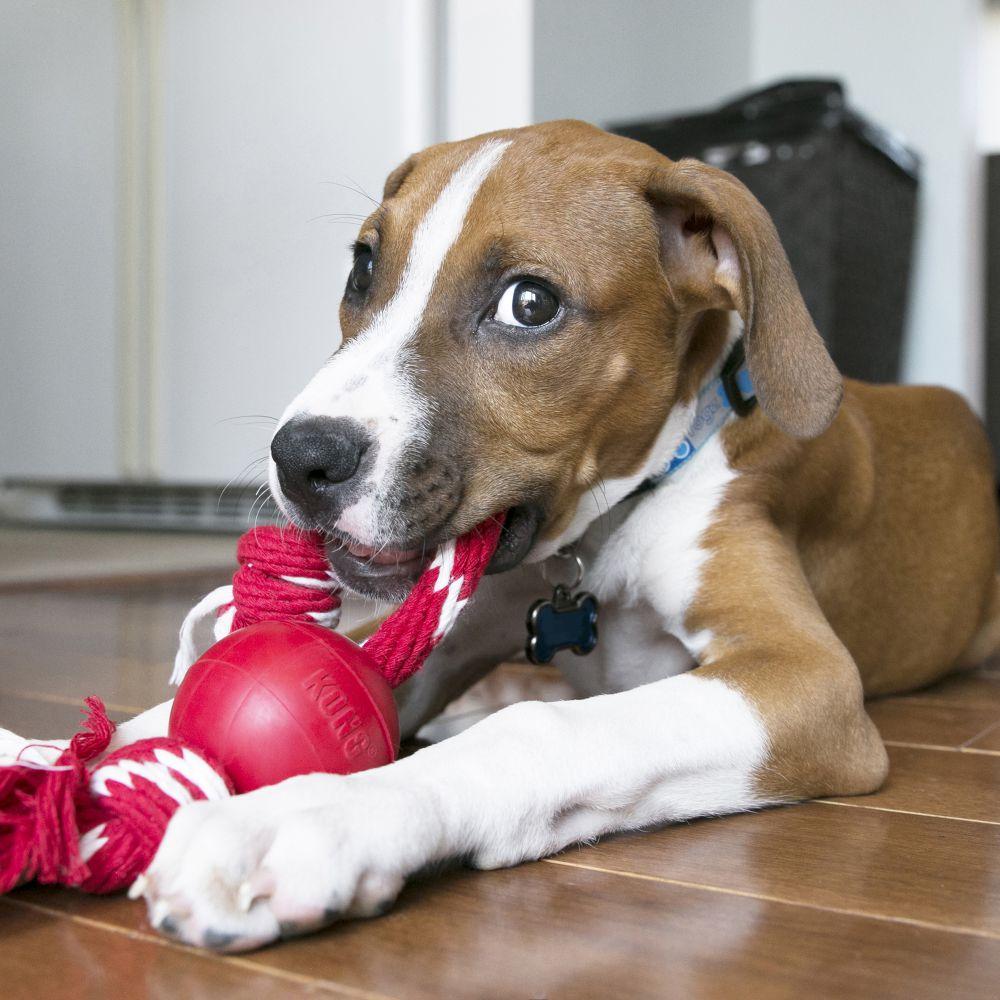 KONG - Ball with Rope Small