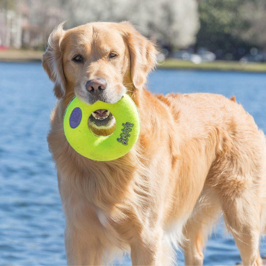 Lifestyle image of a dog holding the Air Squeaker Doughnut.