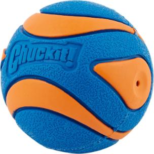 A stock image of the ChuckIt! Squeaker Ball - ChuckIt! branding with blue and orange colours.