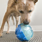 Lifestyle image of the KONG Reward Ball, a blue ball toy, in an indoor setting.