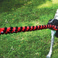 Lifestyle image of the KONG Signature Rope Dual Knot, playing tug-of-war with the toy.