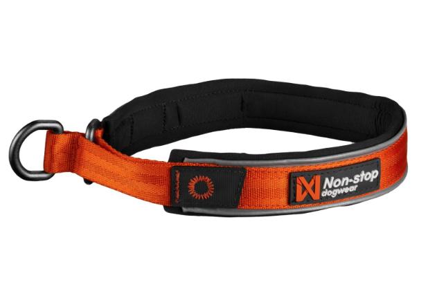 Stock image of the Cruise Collar, an orange collar, on a white background.