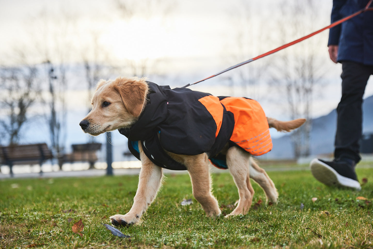 Lifestyle image of the Glacier Jacket, with a dog walking ahead of a person.