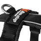 Detailed photo of the lead attachment of the harness, on a white background.