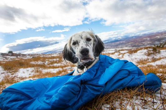 Lifestyle image of the Ly Sleeping Bag,  with a dog sat in the sleeping bag in a frosty landscape.
