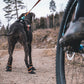 Lifestyle image of the Protector Booties, worn by a dog as they stand in front of a bike.