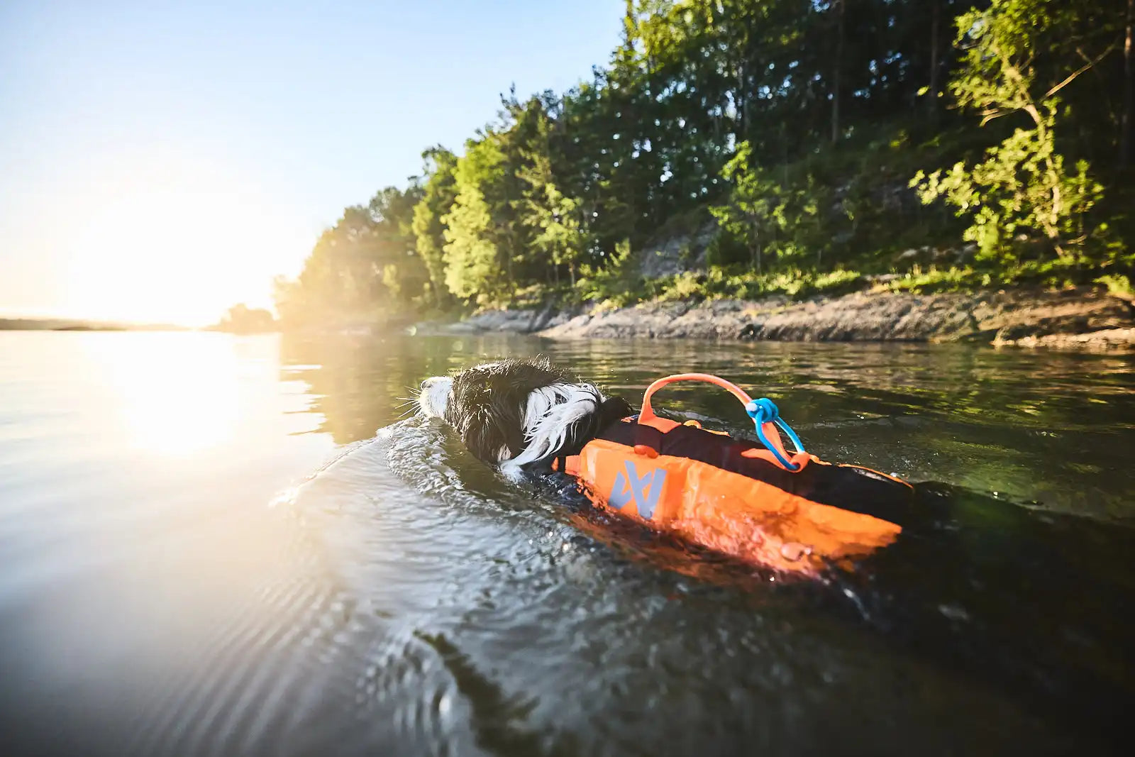 Lifestyle image of the Protector Life Jacket, showing a dog swimming through a river with foliage at the back.