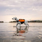 Lifestyle image of the Protector Life Jacket, shown by a dalmatian walking through a watery marsh.